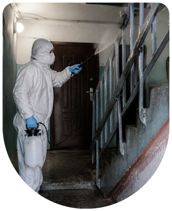Профессиональная дезинфекция подъезда дома в Переславле-Залесском